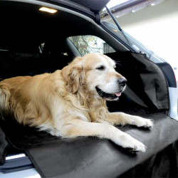 Kofferraumschutz fuer Citroen C8 7 Sitze 2002-06.2014 MDM