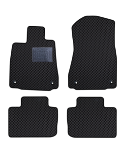 EVA-Gummimatten für Lexus RX 2013-2016