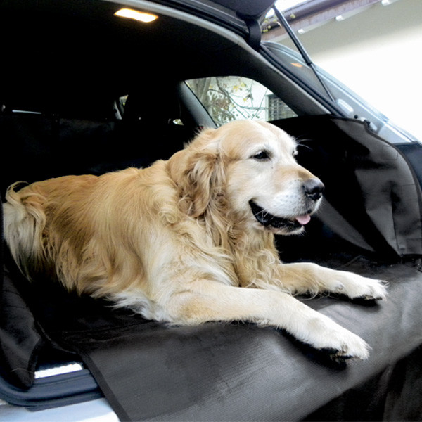 Kofferraumausbau für Hunde - BMW X5