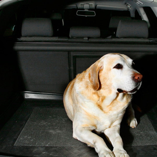 Kofferraumwanne aus Antirutsch-Plastik Ford Galaxy II ab 06.2006-  Passgenaue Kofferraumwanne